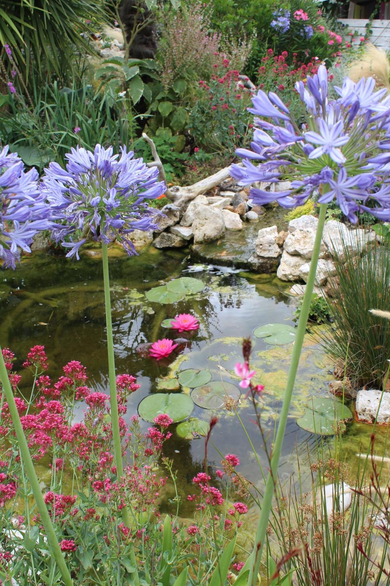 Bed and Breakfast La Douce Charentaise Mérignac Exterior foto